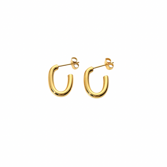 Oval Earring