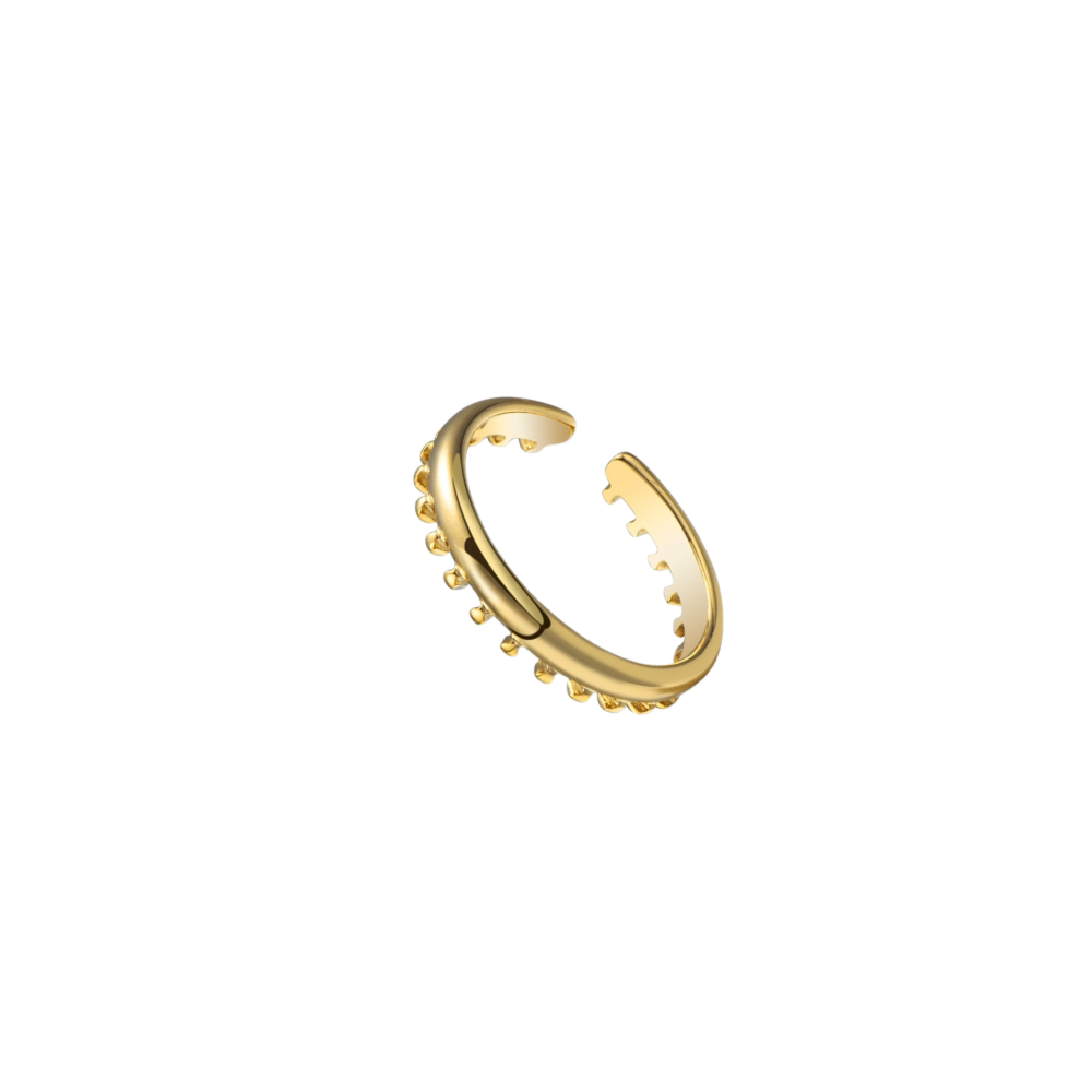 Panton Ring